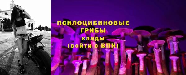 герыч Волоколамск