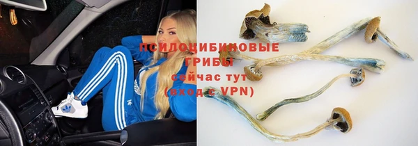 герыч Волоколамск